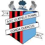 Uckfield Town